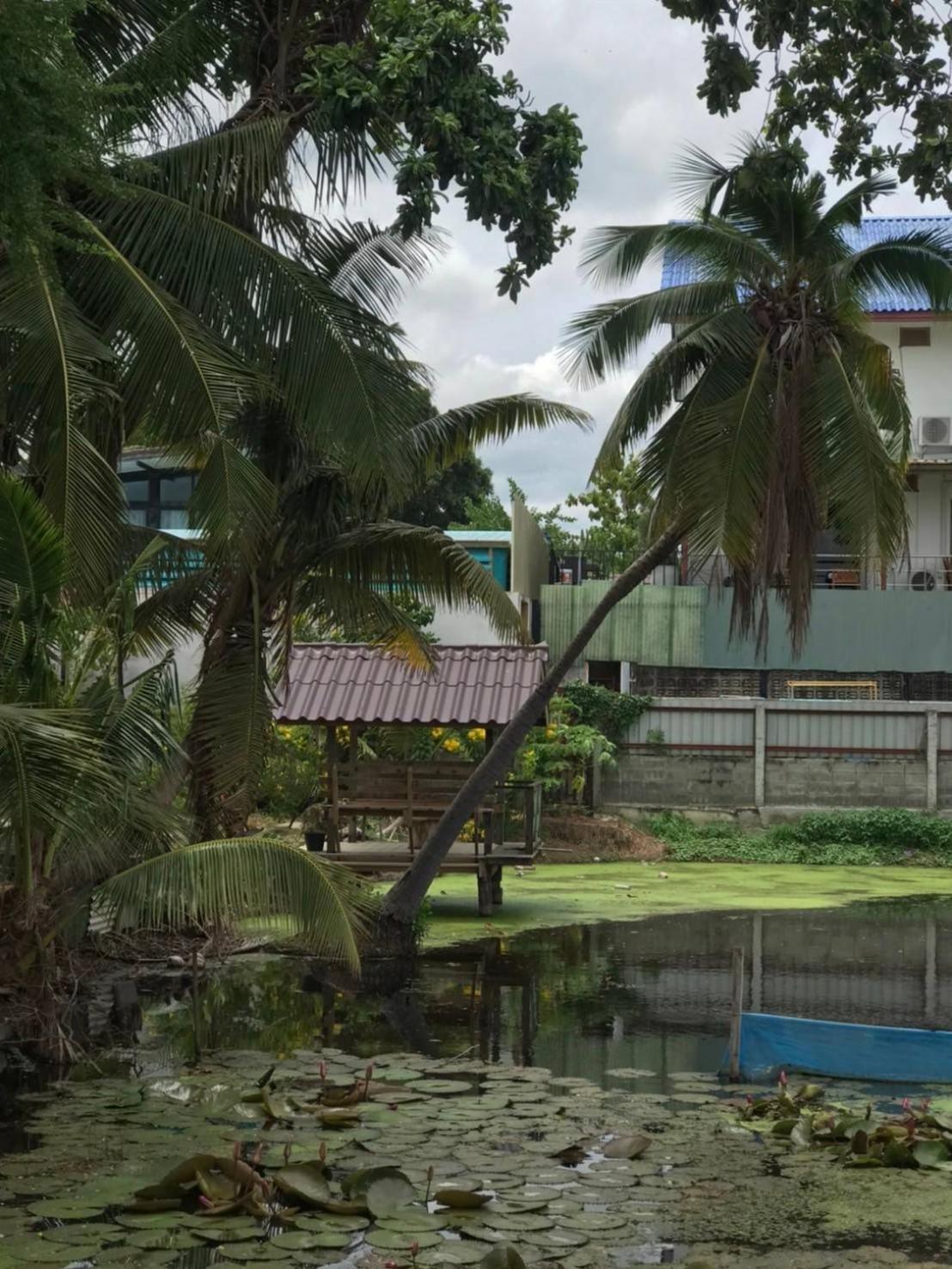 Baan Lotus Guest House พระนครศรีอยุธยา ภายนอก รูปภาพ