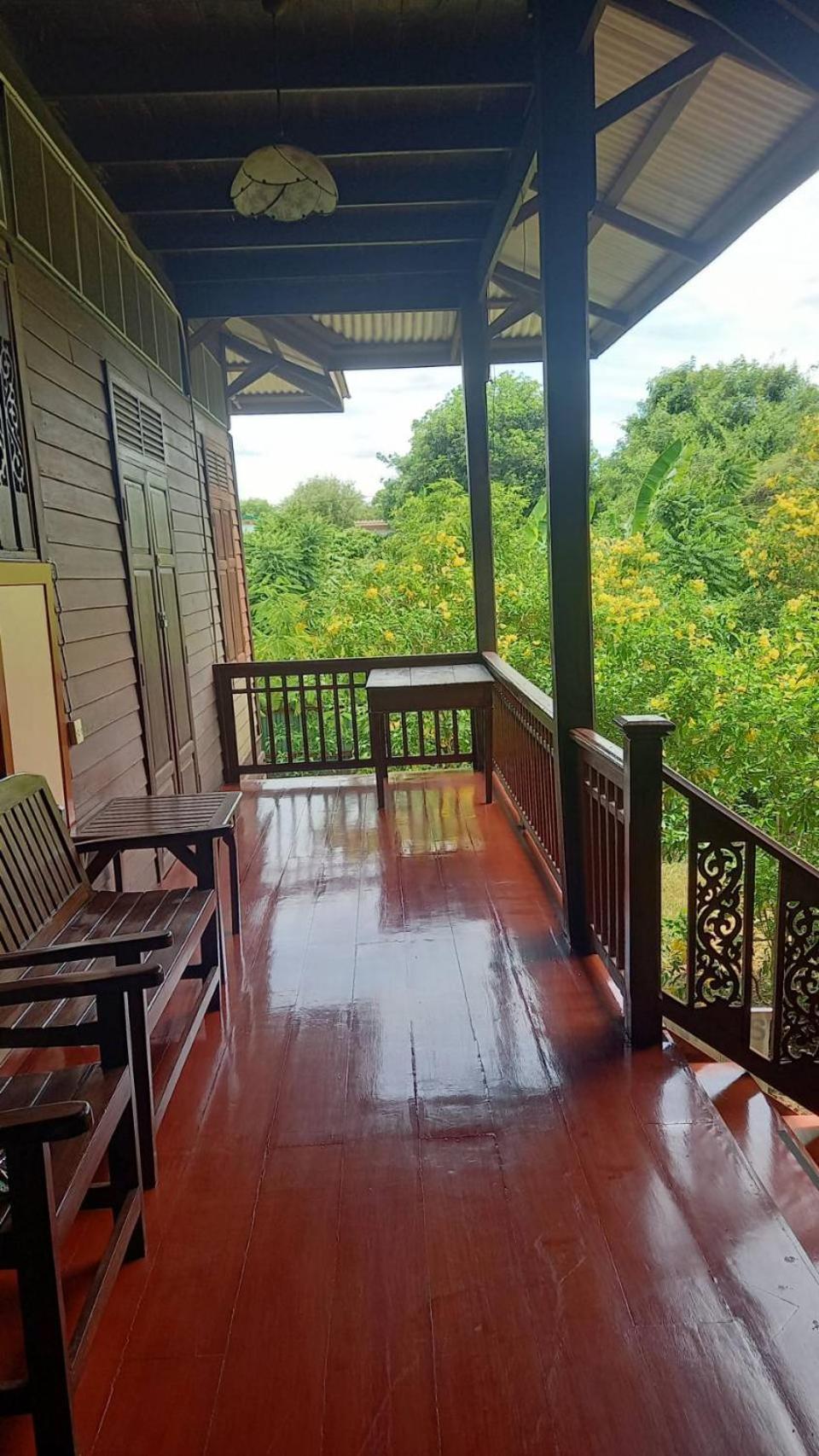 Baan Lotus Guest House พระนครศรีอยุธยา ภายนอก รูปภาพ